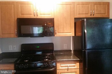 12900 Centre Park Cir unit 307, Herndon, VA 20171 - photo 3