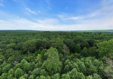 200 Whiskey Way, Jasper, TN 37374 - photo 7