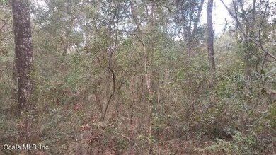 241 Indian Lakes Rd, Florahome, FL 32140 - photo 4