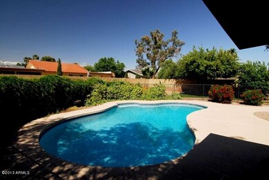 Beautiful Pool!