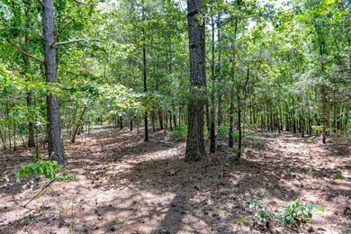 0 Brush Creek Rd unit 40, Hohenwald, TN 38462 - photo 7