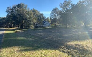 0 Mandiba Dr unit 109996, Lake City, FL 32024 - photo 4