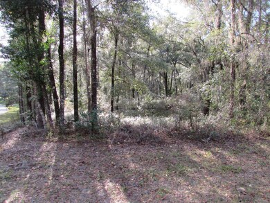 00 SW 187 Ave unit 26, Dunnellon, FL 34432 - photo 3