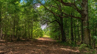 00 U S 341, Yatesville, GA 31097 - photo 5