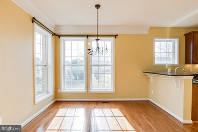 41948 Blue Flag Terrace, Stone Ridge, VA 20105 - photo 7