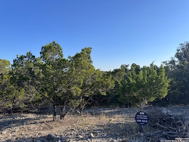 205 Center Point Rd, Lake Medina Shores, TX 78003 - photo 3