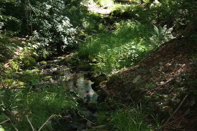 TBD White Birch Rd, Kerhonkson, NY 12446 - photo 7