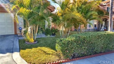 Yard Nicely Landscaped With Palms and Flowers