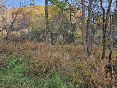 0 Black Oak Rd, Rock, WV 24747 - photo 6