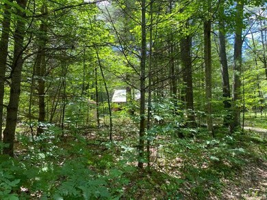 Wooded