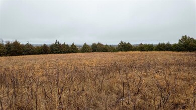 View of local wilderness with a rural view