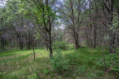 2.08 ac N Clearview Rd, Nekoosa, WI 54456 - photo 7