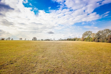 20 AC County Road 3104, Gladewater, TX 75647 - photo 3