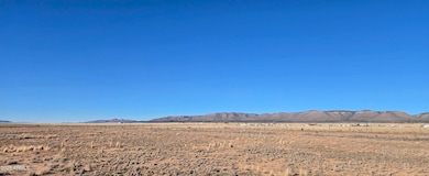 Panoramic View 2