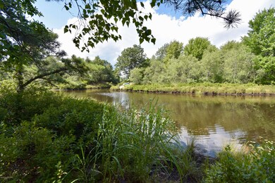 125 English Ivy Ct, Long Pond, PA 18334 - photo 5