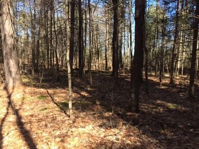 0 Mill Pond Rd, Durham, ME 04222 - photo 2