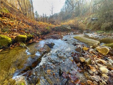 TBD Bradford Rd, Ramseytown, NC 28714 - photo 5