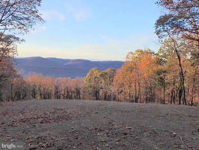 Lot 202 Hampshire Ridge Rd, Romney, WV 26755 - photo 5