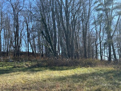 529 Parsonage Ave, Rural Retreat, VA 24368 - photo 6