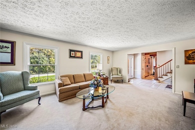 1166 Sherman St, Geneva, OH 44041 - photo 7