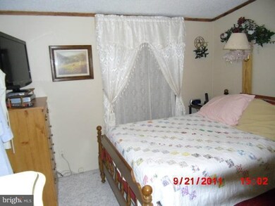 10718 Horseshoe Ln, Worton, MD 21678 - photo 7