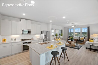 Kitchen with ceiling fan, a center island with sink, light hardwood / wood-style flooring, appliances with stainless steel finishes, and white cabinetry