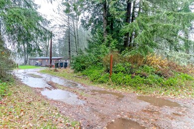 29502 113th Ave E, Graham, WA 98338 - photo 5