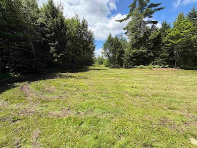 4366 Vermont Route 100, Hyde Park, VT 05655 - photo 4