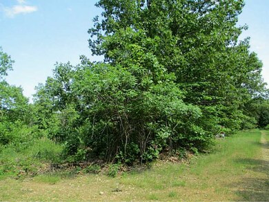 17122 Primrose Ln, Fayetteville, AR 72704 - photo 2