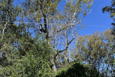 3415 Evergreen Dr, Houston, TX 77365 - photo 4