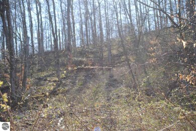 00 E Gauthier Rd, Cedar, MI 49621 - photo 7