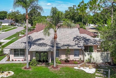 6001 Lemon Tree Ct, Tampa, FL 33625 - photo 2