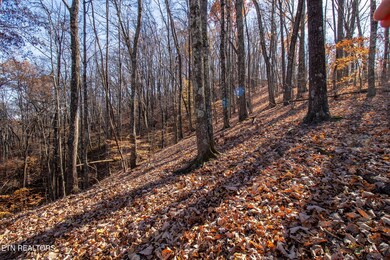 2020 Ruritan Rd, Harriman, TN 37748 - photo 6