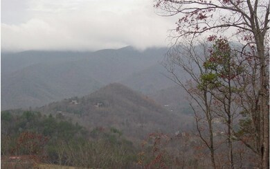 Additional View