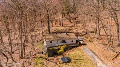 515 W Chipmunk Rd, Bushkill, PA 18324 - photo 3