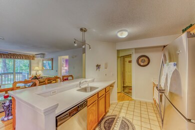 85 Riverfront Dr unit 183, Woodstock, NH 03262 - photo 5