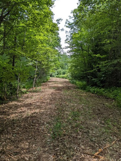 Off W Salisbury Rd unit 7, Salisbury, NH 03268 - photo 2