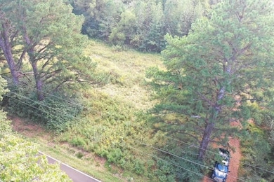 11931 E Holmes Rd, Collierville, TN 38017 - photo 4