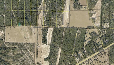 Aerial view 3