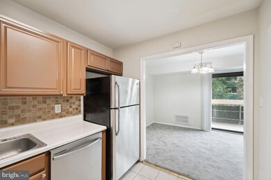 6147 Leesburg Pike unit 407, Falls Church, VA 22041 - photo 7