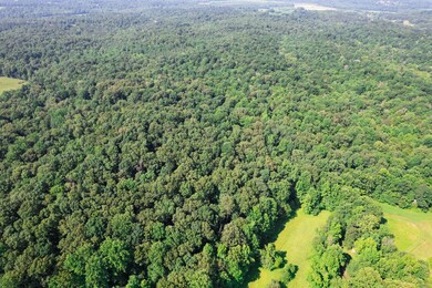 0 Dan Station Rd unit 11546184, Olaton, KY 42361 - photo 7