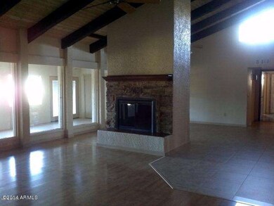 FAMILY ROOM FIREPLACE
