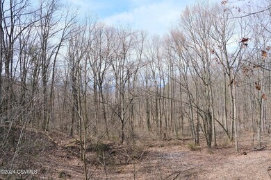 530 Tall Oak Ln, Lewisburg, PA 17837 - photo 7