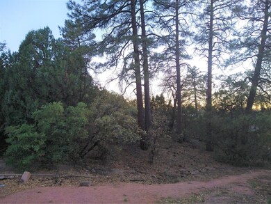 610 N Ponderosa Cir, Payson, AZ 85541 - photo 5