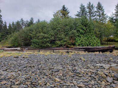 L14 Shoemaker Loop Rd, Wrangell, AK 99929 - photo 4