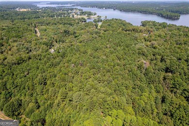 Lot D Martin Oaks Blvd, Eatonton, GA 31024 - photo 6