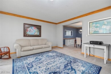 8447 Forest View Dr, Olmsted Falls, OH 44138 - photo 5