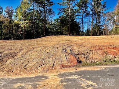 00 Watson Dr unit 38, Lancaster, SC 29720 - photo 3