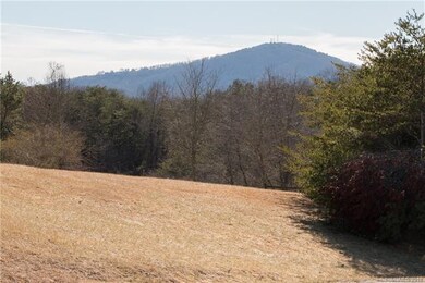Views Front Yard