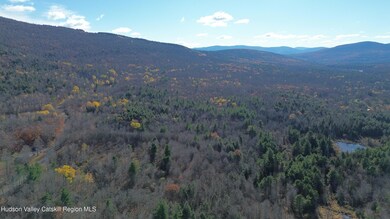 0 High Peak Lot 111-112, Windham, NY 12496 - photo 5